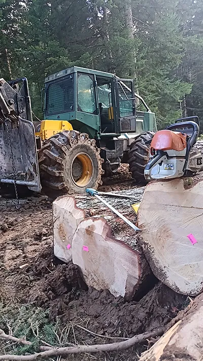 Engins et matériel d'exploitation forestière