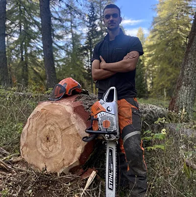 Exploitation forestière Spinelli